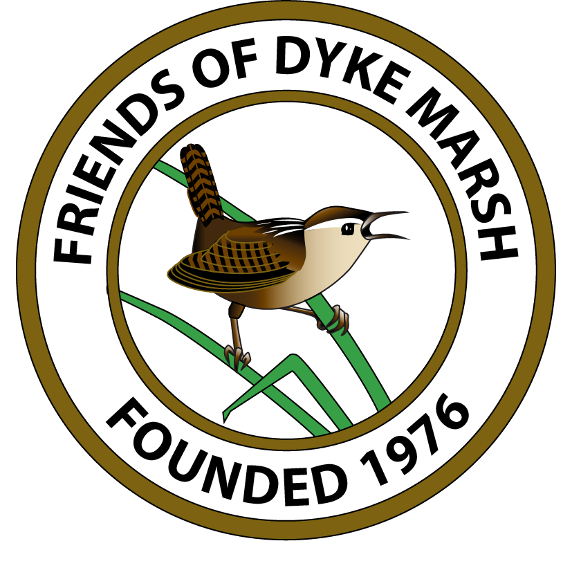 Friends of Dyke Marsh Sandbox