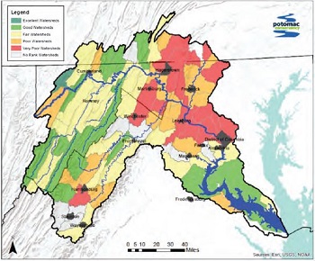 Potomac health Potomac health