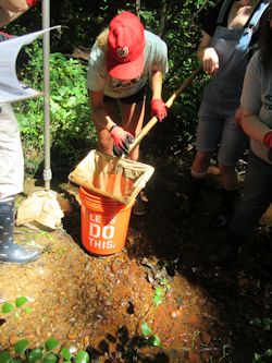 Anna Soltys Anna Soltys